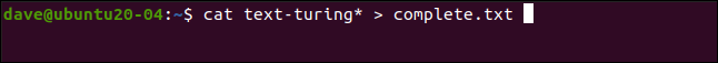 cat text-turing *> complete.txt en una ventana de terminal.