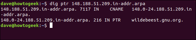 El comando "dig ptr 148.188.51.209.in-addr.arpa" en una ventana de terminal.
