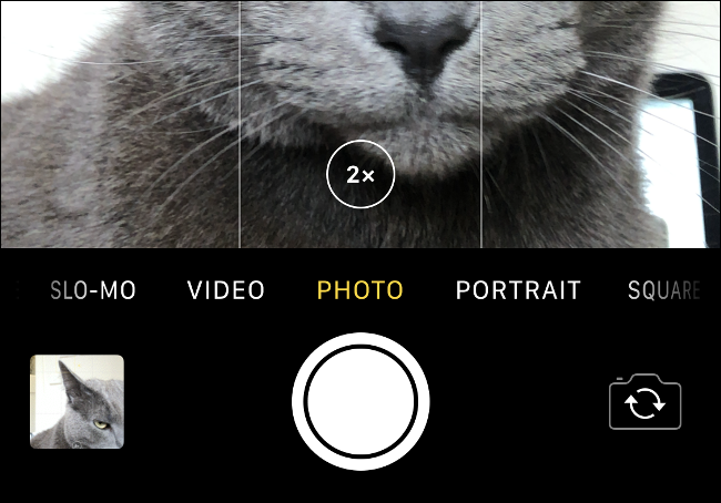 El control de zoom "2x" en una imagen de un gato gris en la aplicación Cámara del iPhone.