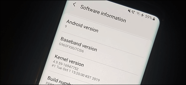 El menú de información del software en un Samsung Galaxy S9 con Android 9
