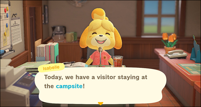 Animal Crossing New Horizons camping isabelle