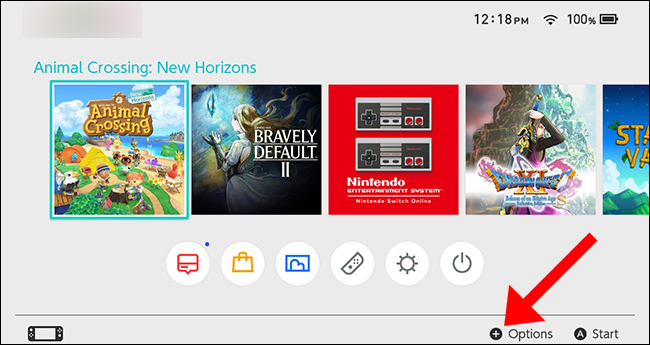 Animal Crossing New Horizons nintendo switch home