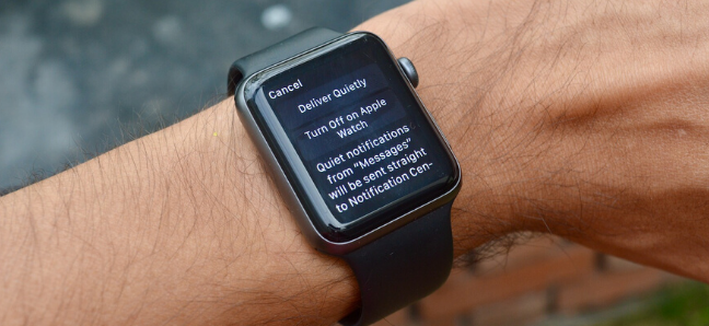 Pantalla de administración de notificaciones de aplicaciones en Apple Watch