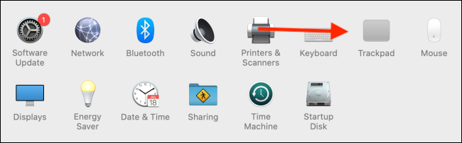 Haga clic en Trackpad en Preferencias del sistema