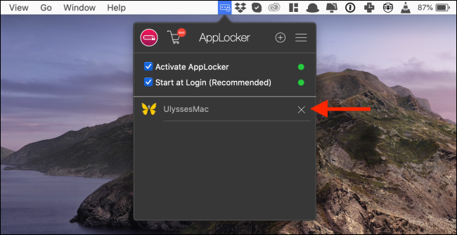 Haga clic en el icono X para eliminar la aplicación de la lista bloqueada