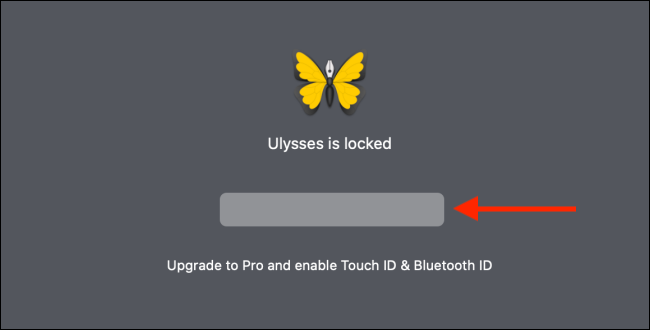 Ingrese la contraseña para desbloquear la aplicación