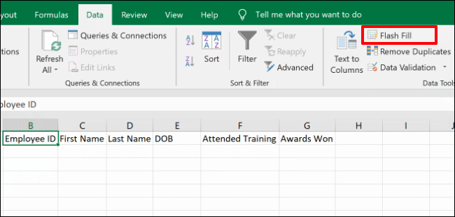 Seleccione la celda del encabezado de su columna, luego haga clic en Datos> Relleno flash
