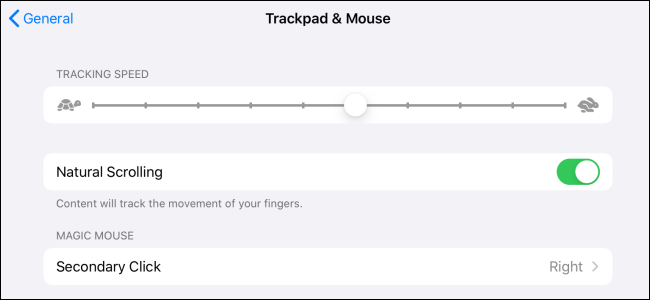 Personalización del mouse en iPadOS