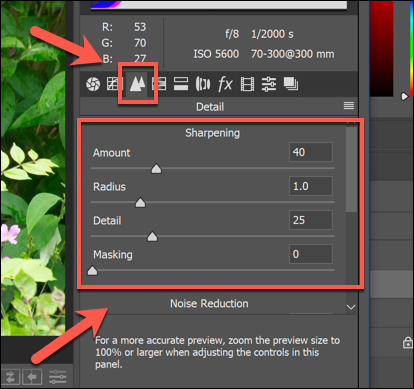 Las opciones de nitidez para una imagen en las opciones de Camera Raw en Photoshop