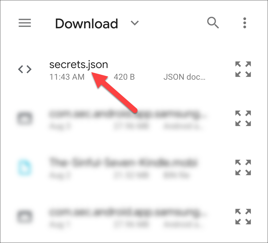 Seleccione "secrets.json" en la carpeta "Descargar".