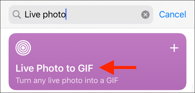 Escribe "Live Photo to GIF" en el cuadro "Buscar" y luego toca "Live Photo to GIF".