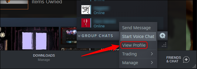 Perfil de vista de Steam