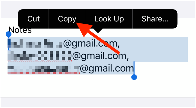 Toque Copiar para copiar todas las direcciones de correo electrónico