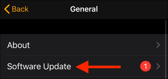 Toque Actualización de software en la aplicación Watch