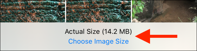 Toca "Elegir tamaño de imagen".