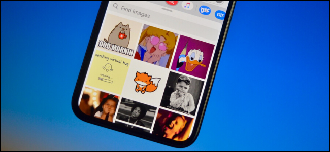 Usuario que usa la aplicación iMessage GIF como alternativa a GIPHY