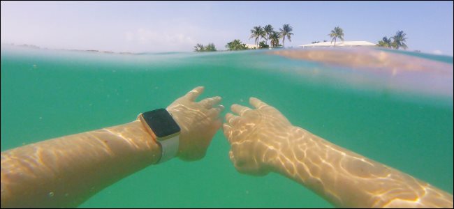 Un hombre que llevaba un Apple Watch mientras nadaba bajo el agua en el océano.