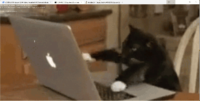 Terminal de Windows con un gato escribiendo en el fondo del teclado gif