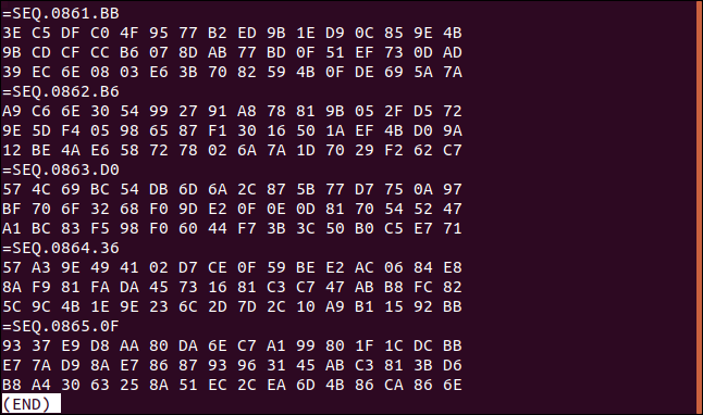 parte inferior del archivo de registro en una ventana de terminal