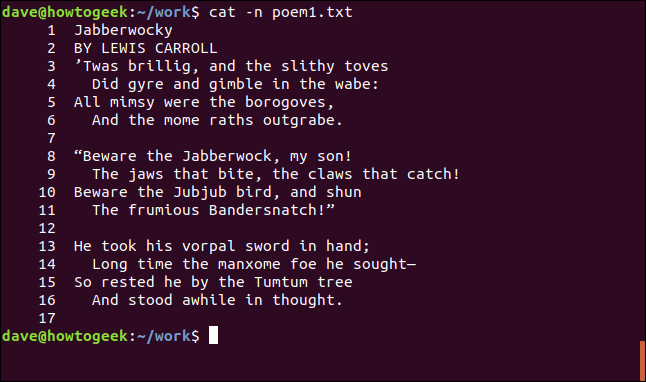 contenido de poem1.txt con líneas numeradas en una ventana de terminal