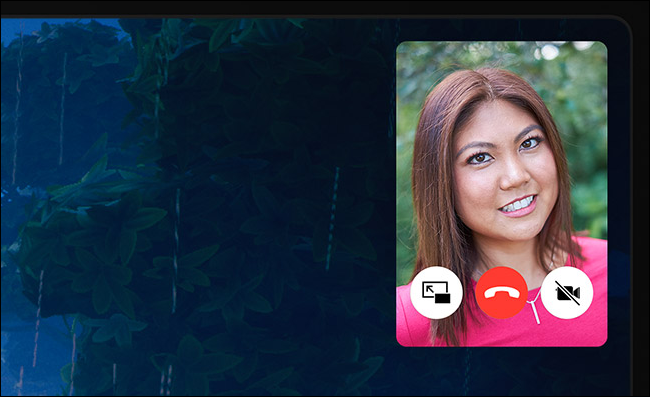 Controles FaceTime Picture in Picture en iPad