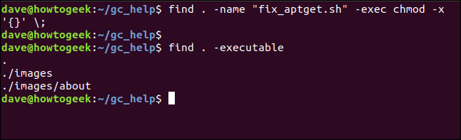 Resultados de búsqueda sin archivos ejecutables en una ventana de terminal
