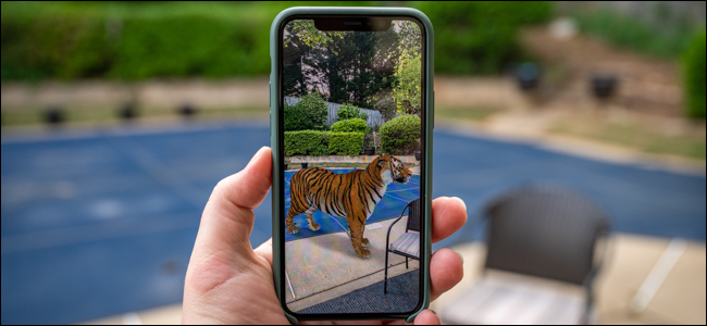 Una mano sosteniendo un teléfono con un tigre en la pantalla.