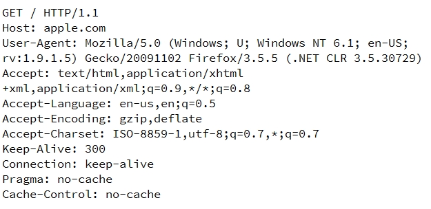 ¿Cómo-saben-los-servidores-web-si-está-utilizando-acceso-directo-a-dirección-IP-o-no-01