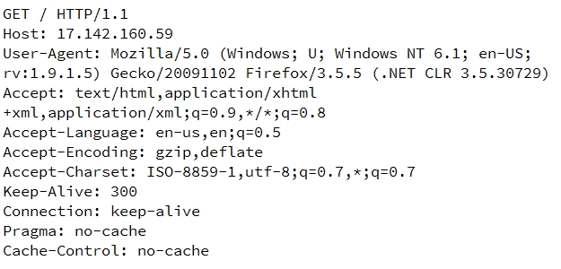 ¿Cómo-saben-los-servidores-web-si-está-utilizando-acceso-directo-a-dirección-IP-o-no-02