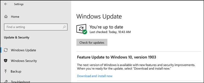 Opción para instalar una actualización de funciones en Windows Update