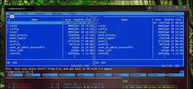 Nuevo terminal de Windows que muestra aplicaciones de Linux
