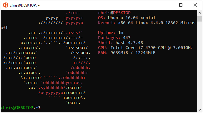 Logotipo de Ubuntu en una terminal WSL en Windows 10