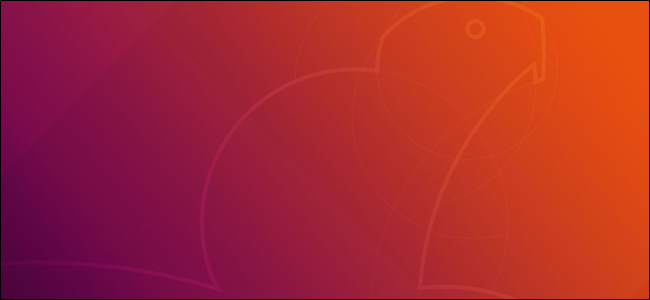 Fondo de pantalla predeterminado de Ubuntu 18.04 LTS "Bionic Beaver"