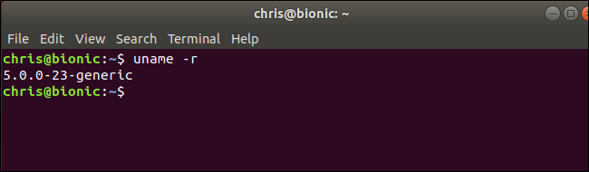 comando uname que muestra el kernel 5.0 de Linux ejecutándose en Ubuntu "Bionic Beaver"