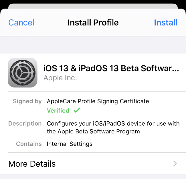 La opción "Instalar perfil" para iOS 13 y iPadOS 13 Beta Software. 