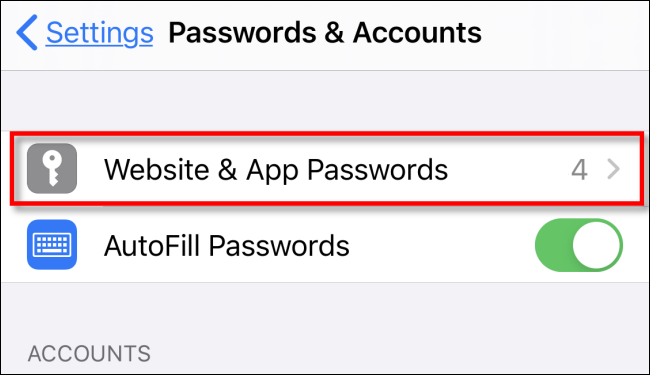 Toque Contraseñas de sitios web y aplicaciones en Configuración en iPhone