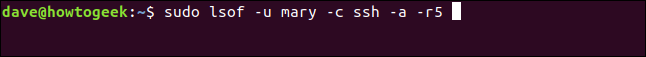 sudo lsof -u mary -c ssh -a -r5 en una ventana de terminal