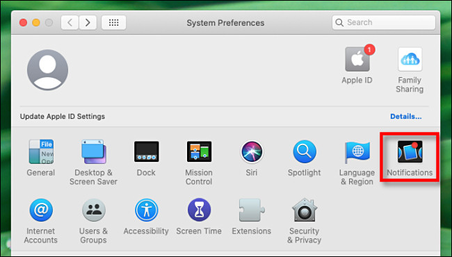 En Preferencias del sistema en Mac, seleccione "Notificaciones".