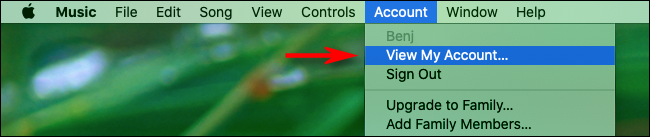 Haga clic en "Cuenta" y luego elija "Ver mi cuenta".