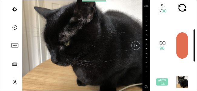 Una imagen de un gato negro en la aplicación Manual para iPhone.