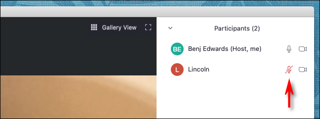 Icono que muestra que alguien está silenciado en Zoom
