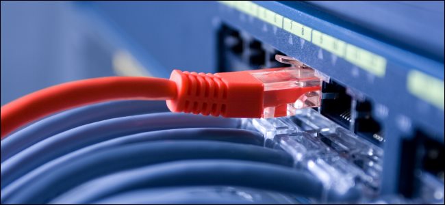 Cables Ethernet conectados a un conmutador de red.