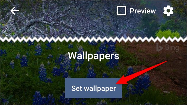 Obtenga una vista previa del fondo de pantalla actual y luego seleccione el botón "Establecer fondo de pantalla".