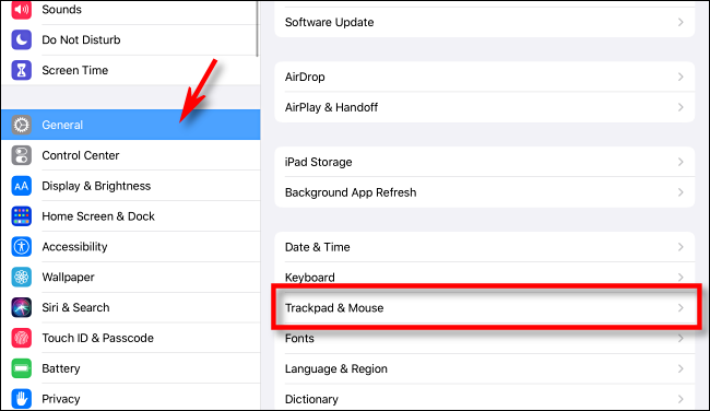 Seleccione Trackpad y Mouse en Configuración en iPad