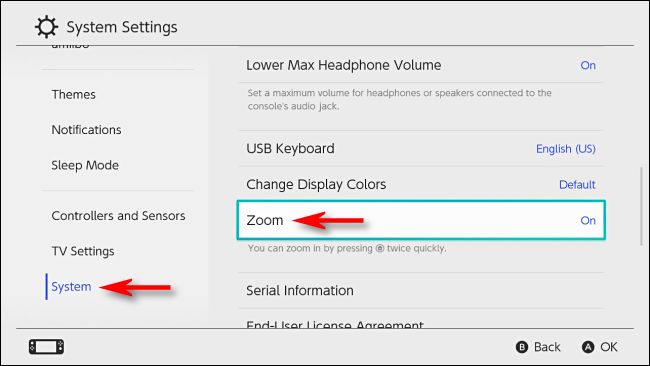 Activar Zoom en la configuración del sistema en Nintendo Switch