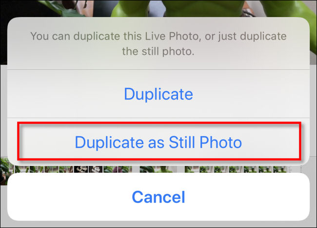 Toca "Duplicar como foto fija" en Fotos en el iPhone.