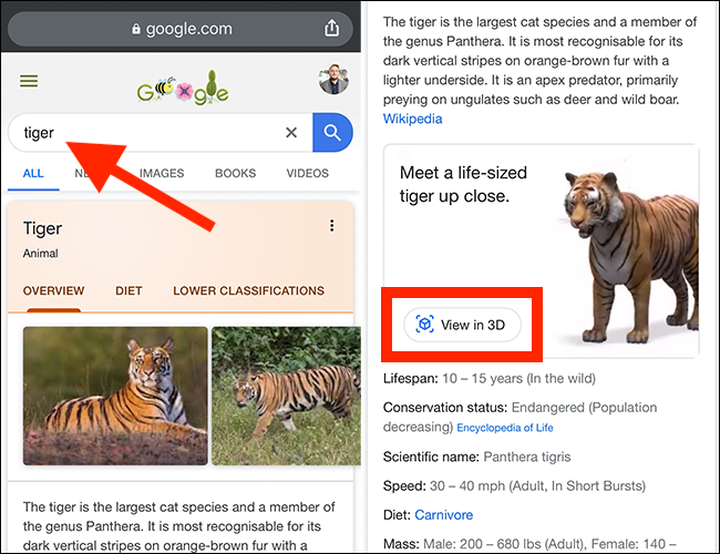 Escriba su término de búsqueda en Google y luego toque "Ver en 3D".