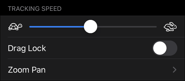 Ajustar la velocidad de seguimiento del puntero en iOS 13 (iPadOS 13)