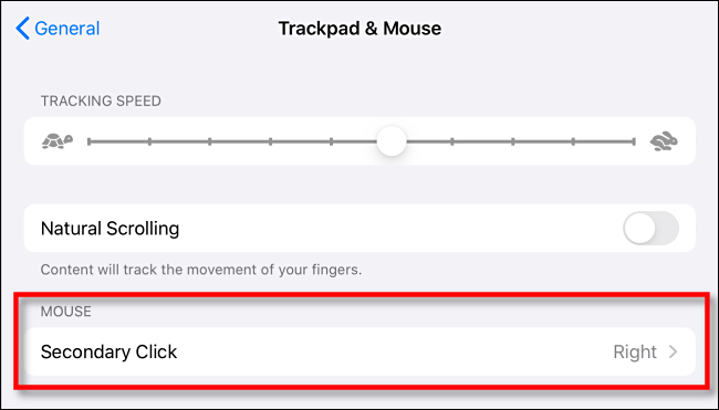 En la configuración del trackpad y el mouse, toque Clic secundario en iPad