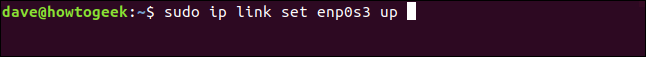 El comando "sudo ip link set enp0s3 up" en una ventana de terminal.